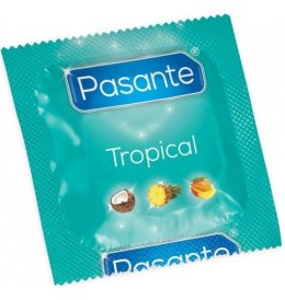 Pasante Tropical Flavor Bulk Pack (1op./144szt.)