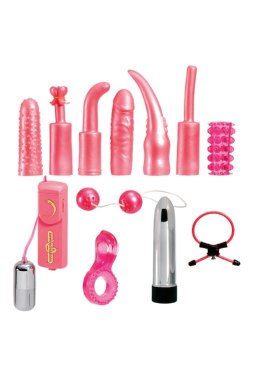 Dirty Dozen Sex Toy Kit Pink Seven Creations