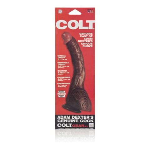 COLT Adam Dexter Cock Brown skin tone Calexotics