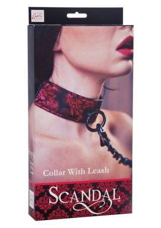 Scandal Collar with Leash Black Calexotics