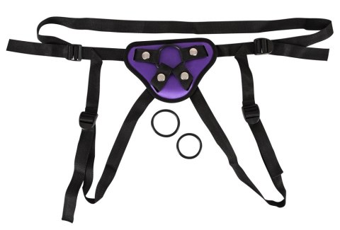 Universal Harness + 3 Rings You2Toys