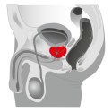 Plug/prostata-Joystick Prostata Booster, black JoyDivision