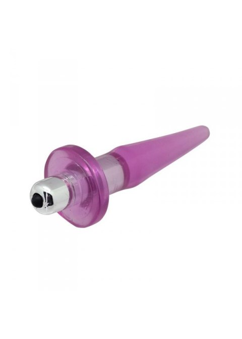 Plug/vibr-ANAL PLUG W/ ON/OFF VIBE Toyz4lovers