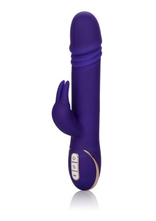 Thrusting Rabbit Signature Purple Calexotics