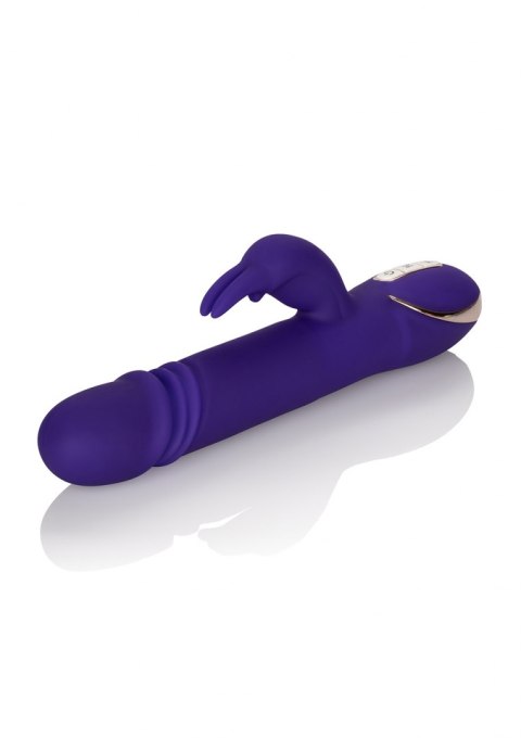 Thrusting Rabbit Signature Purple Calexotics