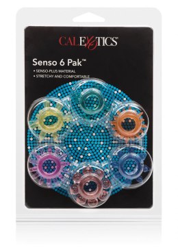 Senso 6 Pack Multicolor Calexotics
