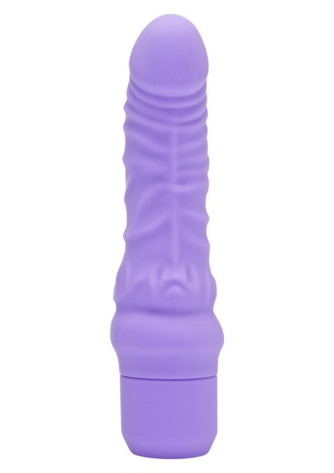 Mini Classic G-Spot Vibrator Purple ToyJoy