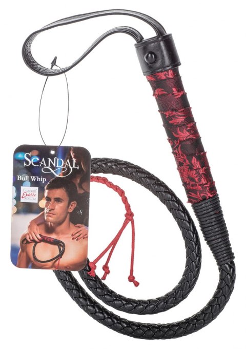 Scandal Bull Whip Black Calexotics