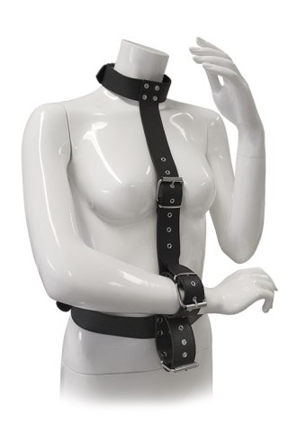 Wiązania-BLAZE RESTRAINT BODY HARNESS WITH COLLAR Dream Toys