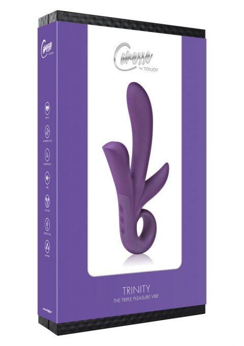 Trinity Triple Pleasure vibe Purple ToyJoy