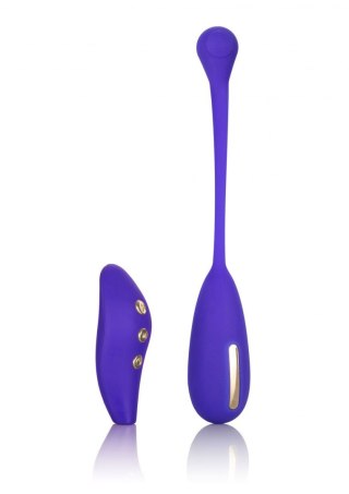 Estim Remote Kegel Exerciser Blue Calexotics