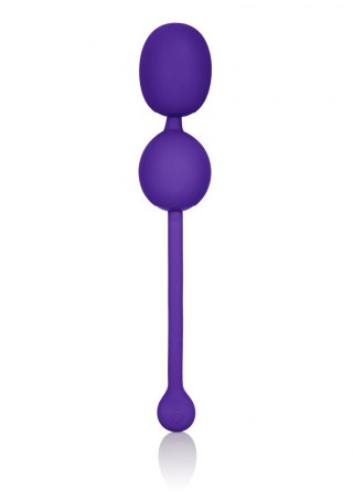 Rechargeable Dual Kegel Purple Calexotics