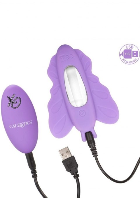 Butterfly Remote Rocking Penis Purple Calexotics