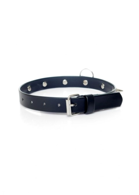 Fetish B - Series Collar with studs 2 cm Fetish B - Series