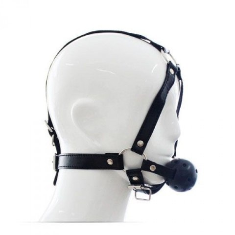 Knebel-Imbracatura Viso con morso Head Harness+Ball Gag Toyz4lovers