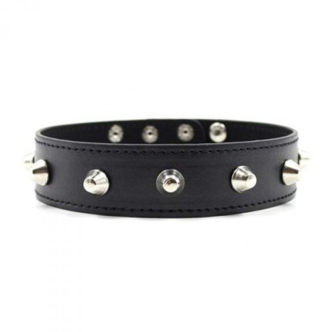 Wiązania-Collare Spikes Collar black Toyz4lovers