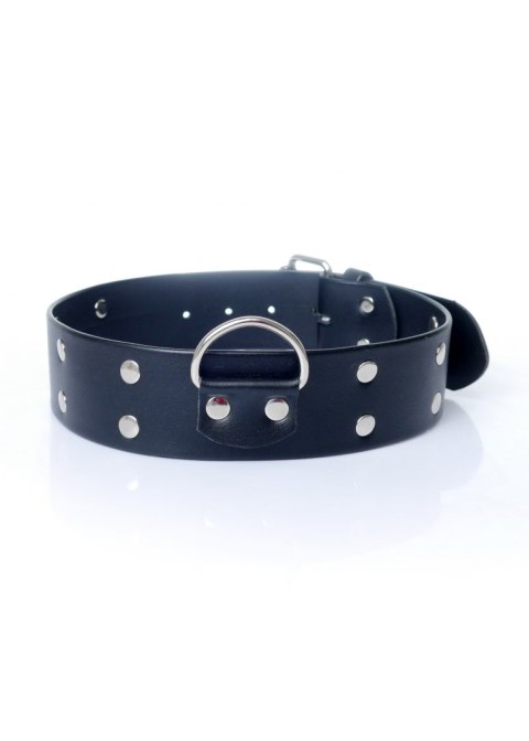 Fetish B - Series Collar with studs 4 cm Fetish B - Series