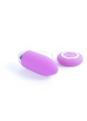 Remoted controller egg 0.3 USB Purple B - Series Lyla