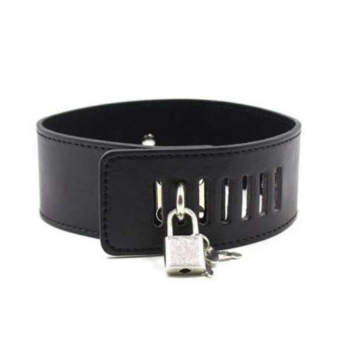 Collare con morsetti per capezzoli Leash nipple black Toyz4lovers