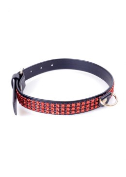 Fetish B - Series Collar with crystals 2 cm Red Line Fetish B - Series