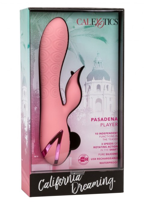 Pasadena Player Pink Calexotics