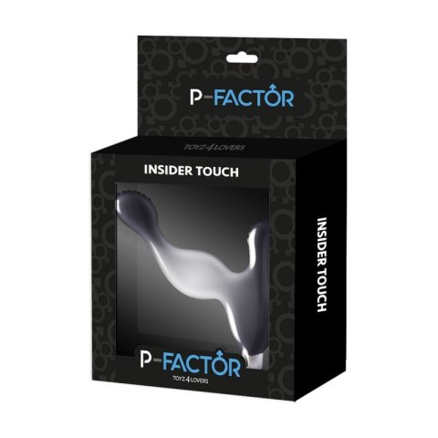 Vibratore Anale Insider Touch Toyz4lovers