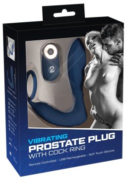 Vibrating Prostate Plug with C You2Toys