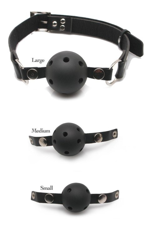 FFS Ball Gag Training System Fetish Fantasy Series