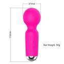 Stymulator-Rechargeable Mini Masager USB 20 Functions - Pink B - Series Magic