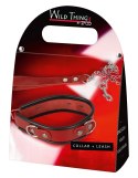 Leather Collar and Leash Wild Thing by Zado