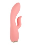 Uncorked Zinfandel Pink Calexotics