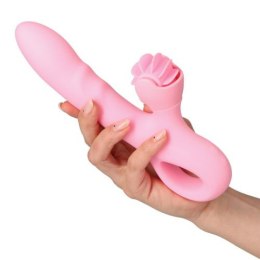 Rabbit Pink Taste Toyz4lovers