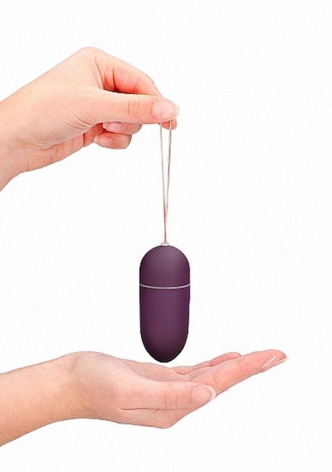 10 Speed Remote Vibrating Egg - Big - Purple ShotsToys