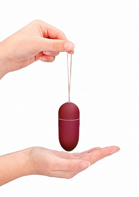 10 Speed Remote Vibrating Egg - Big - Red ShotsToys