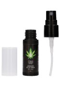 CBD Cannabis Delay Spray - 15 ml Pharmquests
