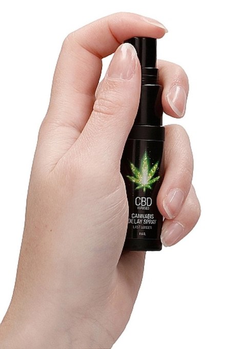 CBD Cannabis Delay Spray - 15 ml Pharmquests