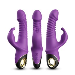 Zing purple B - Series Joy