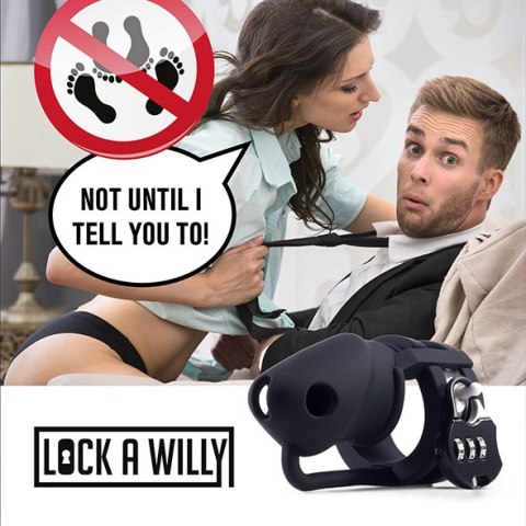 Lock-a-Willy Lock a Willy