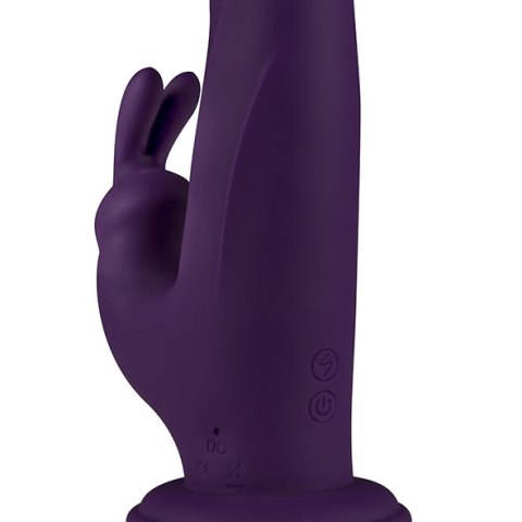 FeelzToys - Whirl-Pulse Rotating Rabbit Vibrator & Remote Control Purple FeelzToys