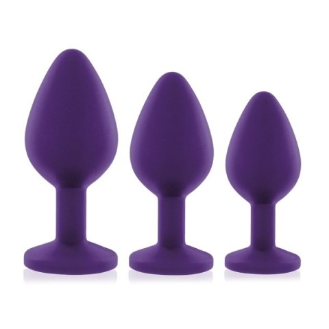 RS - Soiree - Booty Plug Original Set 3x Purple Rianne S