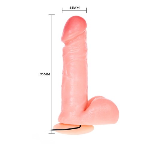 BAILE - REALISTIC MALE COCK AND TIGHT ASS, Vibration Suction base Baile