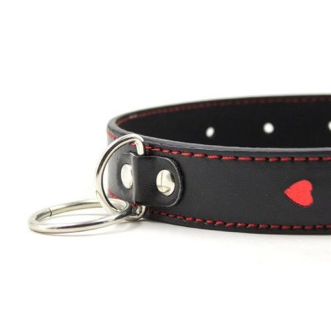 Easy Collar Leash black Toyz4lovers