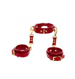 Taboom D-Ring Collar and Wrist Cuffs Red