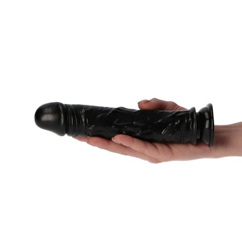 Dildo- Claudio Black Toyz4lovers