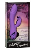 West Coast Wave Rider Purple Calexotics