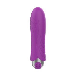 Wibrator pocisk - Exclusive Bullet USB 10 functions Purple B - Series Vision