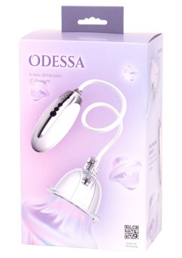 Odessa Pussy Pump White Seven Creations