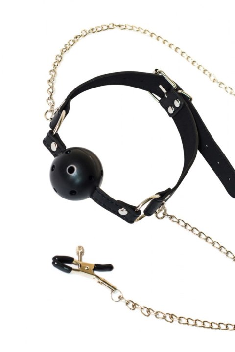 Ball Gag with nipple clamps Party Hard Gratitude Lola Games