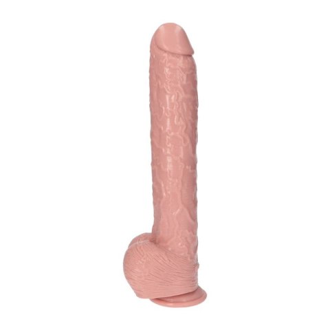 Dildo-Italian Cock 15.5""Flesh Toyz4lovers