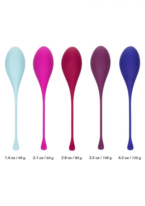 Kegel Training 5 Pcs Multicolor Calexotics